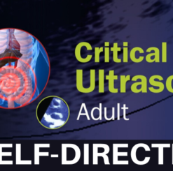 Critical Care Ultrasound: Adult Self-Directed 2020 (CME VIDEOS)