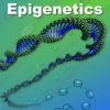 Epigenetics (Garland Science)