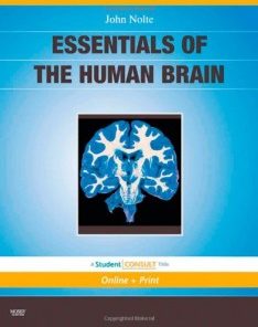 Essentials of the Human Brain