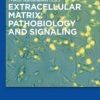 Extracellular Matrix: Pathobiology and Signaling