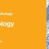 Classic Lectures in Pathology: What You Need to Know: Hematopathology 2022 CME VIDEOS