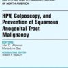 HPV, Colposcopy, and Prevention of Squamous Anogenital Tract Malignancy, An Issue of Obstetric and Gynecology Clinics, 1e (The Clinics: Internal Medicine)