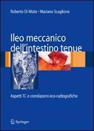 Ileo meccanico dell’intestino tenue: Aspetti TC e correlazioni eco-radiografiche