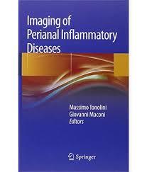 Imaging of Perianal Inflammatory Diseases