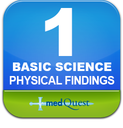 Medquest Get Physical 2016 (Videos)