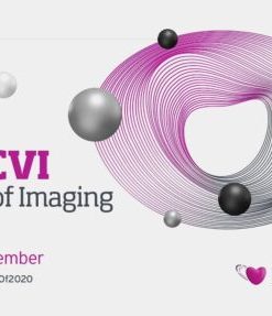 EACVI Best of Imaging 2020 Congress (VIDEOS)