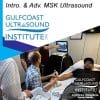 Gulfcoast Ultrasound Institute : Musculoskeletal Ultrasound (On-Demand Videos)