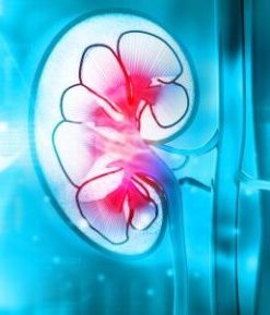 Harvard Intensive Review of Nephrology 2021 (CME VIDEOS)