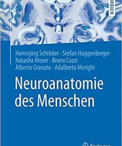 Neuroanatomie des Menschen