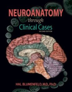 Neuroanatomy Through Clinical Cases, Second Edition