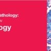 Classic Lectures in Pathology: What You Need to Know: Neuropathology 2018 (CME VIDEOS)