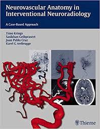 Neurovascular Anatomy in Interventional Neuroradiology: A Case-Based Approach