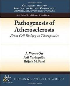 Pathogenesis of Atherosclerosis From Cell Biology to Therapeutic