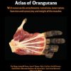 Photographic and Descriptive Musculoskeletal Atlas of Orangutans