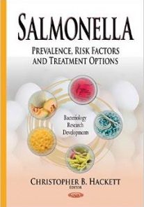 Salmonella: Prevalence, Risk Factors and Treatment Options