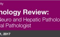 2017 Pathology Review Pulmonary, Neuro, and Hepatic Pathology for the General Pathologist (CME VIDEOS)