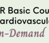 SPR 2021 18th Basic Course on Pediatric Cardiovascular MRI On-Demand (CME VIDEOS)