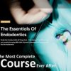 The Essentials of Endodontics