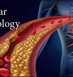 Vascular Technology Review 2022 (CME VIDEOS)