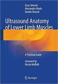 Ultrasound Anatomy of Lower Limb Muscles: A Practical Guide