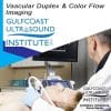 Gulfcoast Ultrasound Institute : Advanced Vascular Ultrasound / DUPLEX / COLOR FLOW ULTRASOUND (On-Demand Videos)