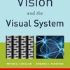 Vision and the Visual System