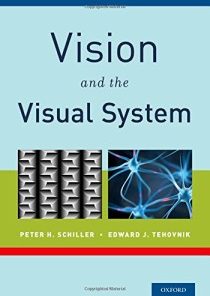 Vision and the Visual System