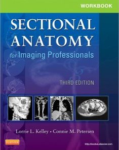 Workbook for Sectional Anatomy for Imaging Professionals, 3e