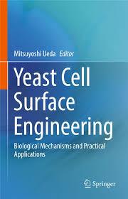 Yeast Cell Surface Engineering: Biological Mechanisms and Practical Applications 1st ed. 2019 Edition