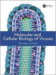 Molecular and Cellular Biology of Viruses 1st Edition