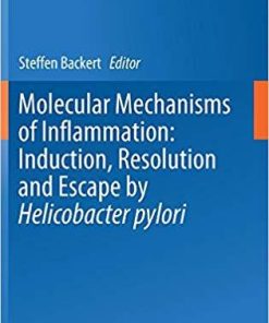 Molecular Mechanisms of Inflammation: Induction, Resolution and Escape by Helicobacter pylori (Current Topics in Microbiology and Immunology) 1st ed. 2019 Edition