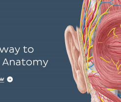 KenHub Anatomy , Histology and Medical imaging 2019