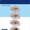 The Glioma Book 1st Edition