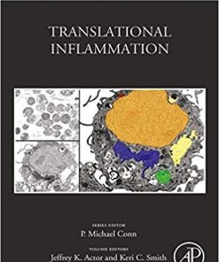 Translational Inflammation, Volume 4 (Perspectives in Translational Cell Biology) 1st Edition