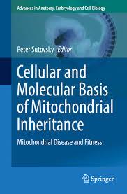 Cellular and Molecular Basis of Mitochondrial Inheritance: Mitochondrial Disease and Fitness (Advances in Anatomy, Embryology and Cell Biology) 1st ed. 2019 Edition