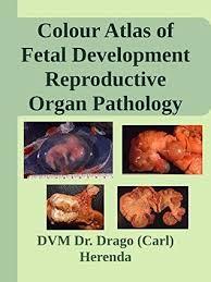 Colour Atlas of Fetal Development and Reproductive Organ Pathology in Food Animals