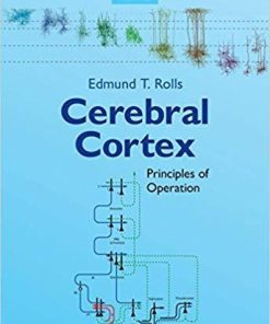 Cerebral Cortex: Principles of Operation 1st Edition