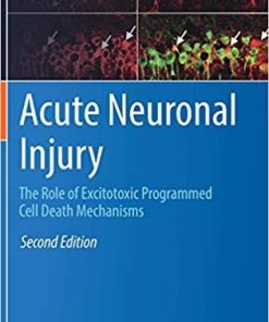 Acute Neuronal Injury: The Role of Excitotoxic Programmed Cell Death Mechanisms 2nd ed. 2018 Edition