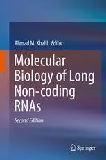 Molecular Biology of Long Non-coding RNAs 2nd ed. 2019 Edition