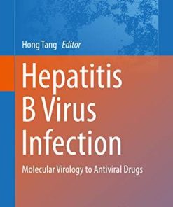 Hepatitis B Virus Infection: Molecular Virology to Antiviral Drugs (Advances in Experimental Medicine and Biology) 1st ed. 2020 Edition