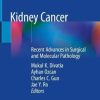 Kidney Cancer: Recent Advances in Surgical and Molecular Pathology 1st ed. 2020 Edition