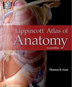 Lippincott Atlas of Anatomy Second, North American Edition