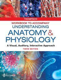 Workbook to Accompany Understanding Anatomy & Physiology: A Visual, Auditory, Interactive Approach 3rd Edition