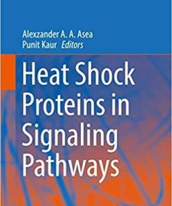 Heat Shock Proteins in Signaling Pathways 1st ed. 2019 Edition