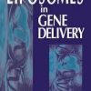 Liposomes in Gene Delivery 1st Edition