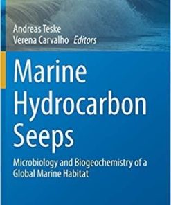 Marine Hydrocarbon Seeps: Microbiology and Biogeochemistry of a Global Marine Habitat (Springer Oceanography) 1st ed. 2020 Edition