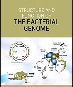 Structure and Function of the Bacterial Genome 1st Edition