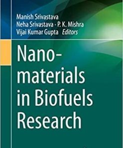 Nanomaterials in Biofuels Research (Clean Energy Production Technologies) 1st ed. 2020 Edition