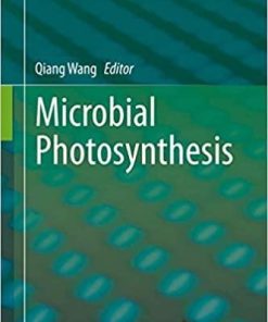 Microbial Photosynthesis 1st ed. 2020 Edition