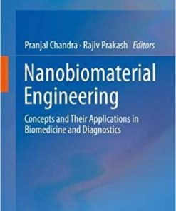 Nanobiomaterial Engineering: Concepts and Their Applications in Biomedicine and Diagnostics 1st ed. 2020 Edition